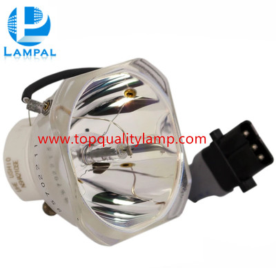 Original Ushio Replacement Projector Lamp for NSHA210SE