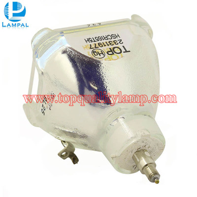 IWASAKI HSCR165T5H Original Projector Lamp Replacement