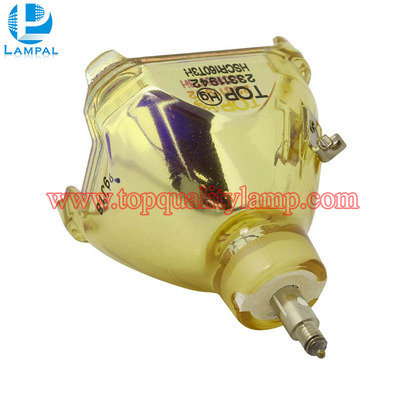 IWASAKI HSCR160T3H Original Projector Lamp Bulb Replacement