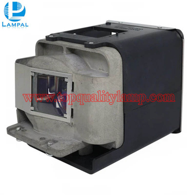 Optoma BL-FU310C Original Projector Lamp Replacement Module FX.PM484-2401