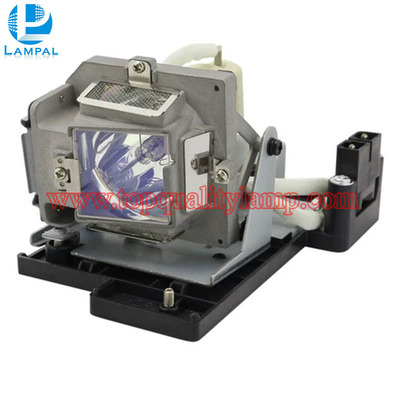 OPTOMA 5811100256-S Projector Lamp Replacement with Module
