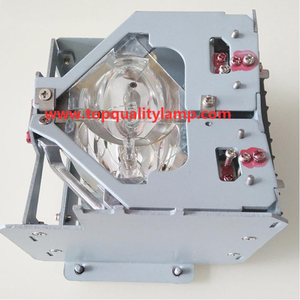 R9852940 Original Genuine Projector Replacement Lamp for BARCO RLM G5i