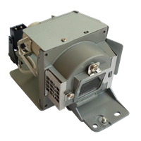 ACER EC.JD300.001 Projector Genuine Original Lamp with Housing for X1213P